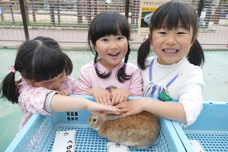 「なかよし牧場」内の「ふれあい広場」で行われるウサギタッチ体験