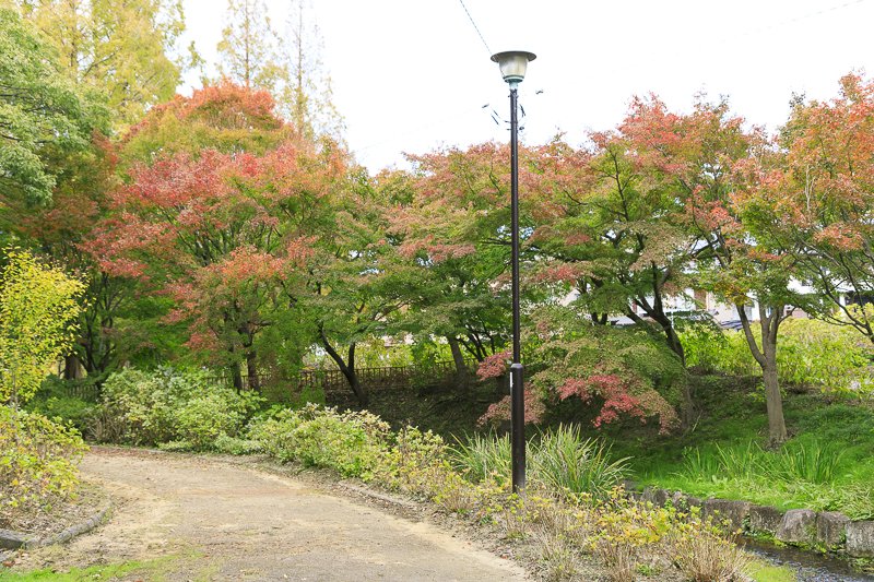 茶屋ヶ坂公園
