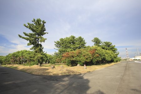 霞ヶ浦緑地公園