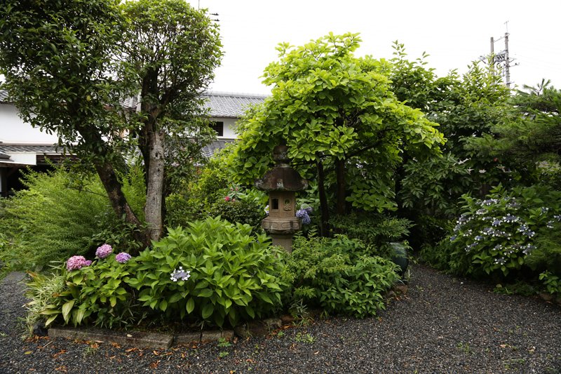 広大な庭には四季折々の花が咲く