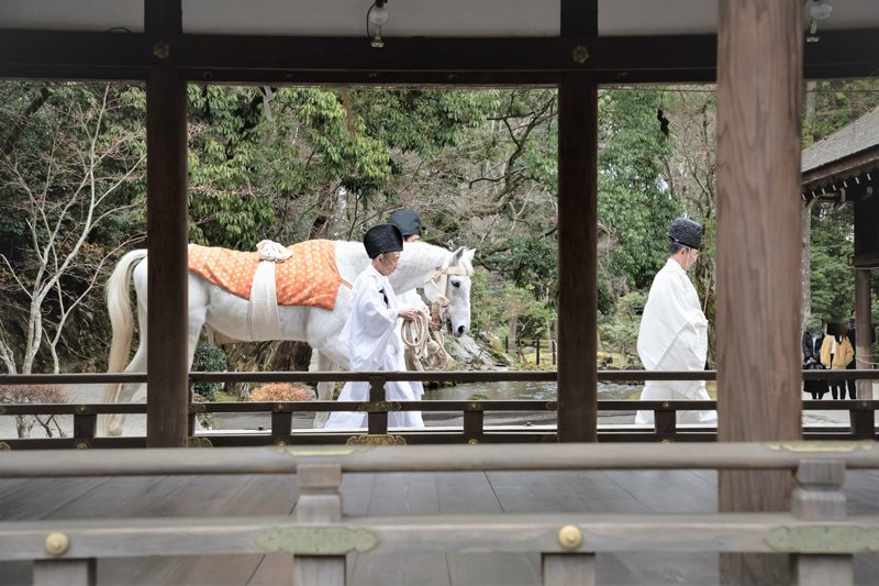 一年の邪気が祓われるという故事に因む「白馬奏覧神事」