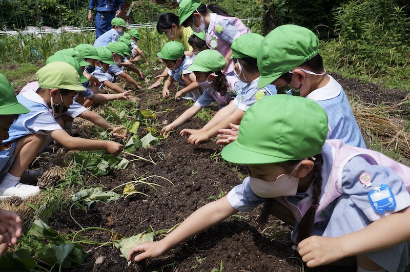 箕面自由学園幼稚園