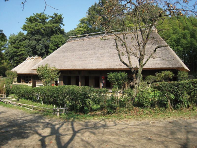 日本民家集落博物館