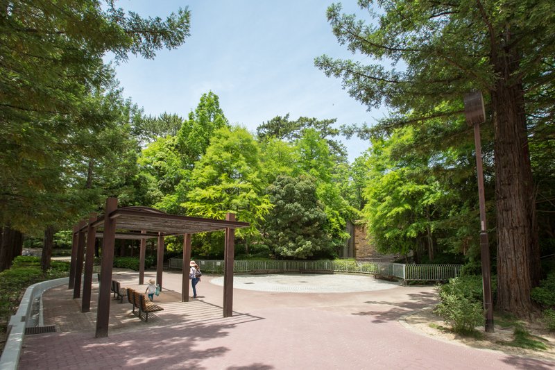 西田公園（万葉植物苑）