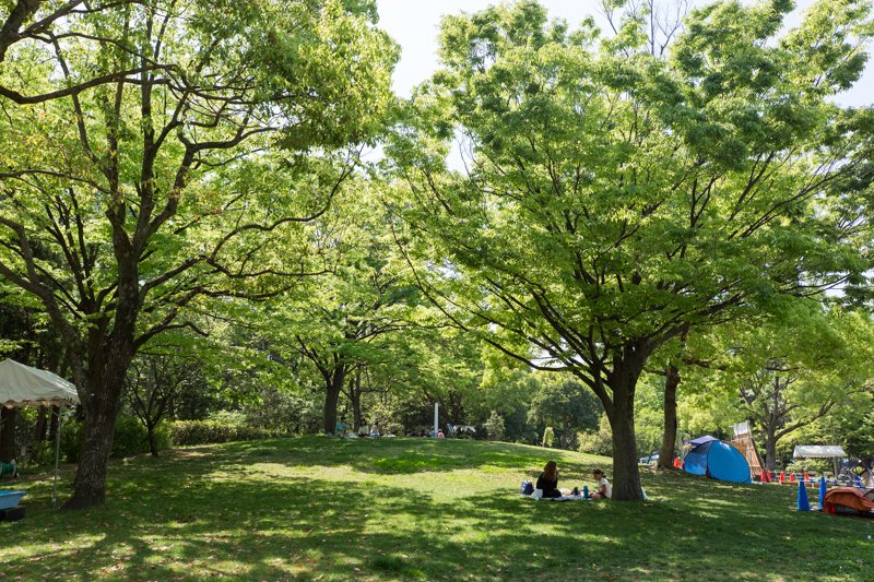 広々とした「芝生広場」