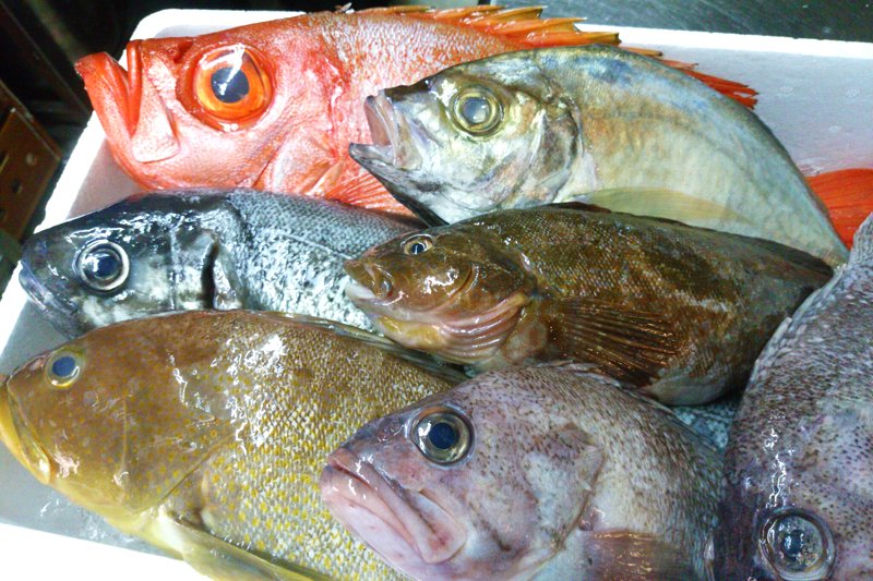 網で捕るよりも魚がいい状態に保たれる釣魚（つりざかな）