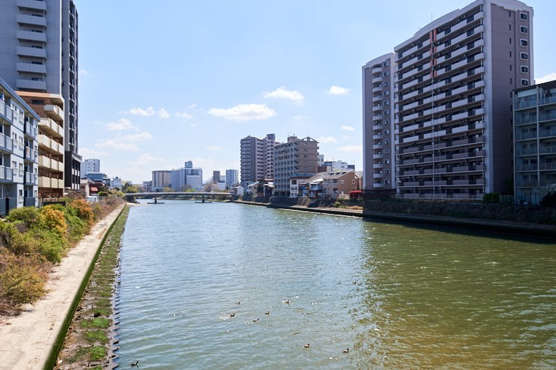 那珂川の水辺