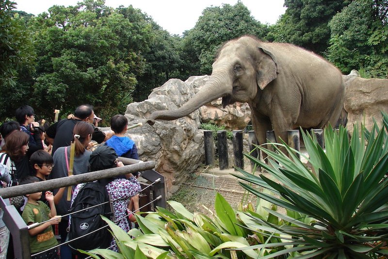 到津の森公園