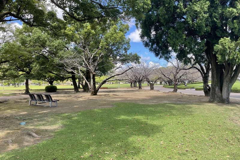 宮崎県総合文化公園