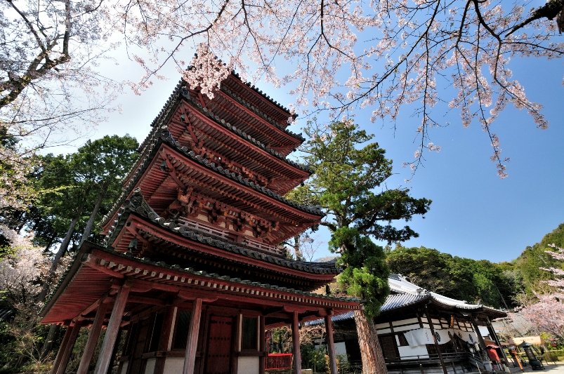 「海住山寺（五重塔）」